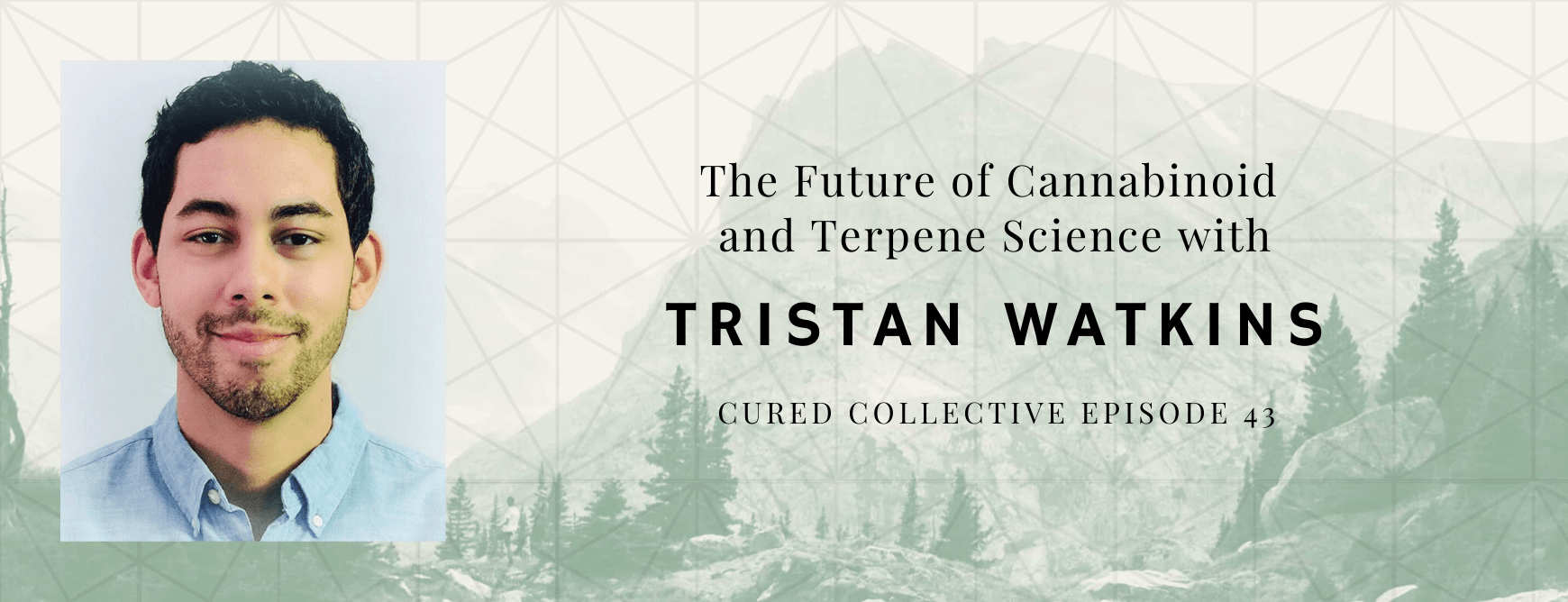 Cured Collective CBD Podcast with Tristan Watkins